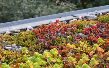 the cost of Upper Wootton green roof installation